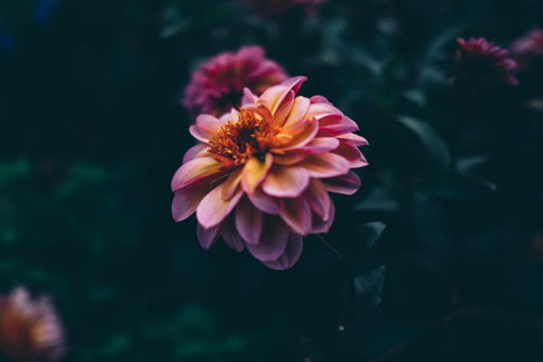 2 (88).jpg