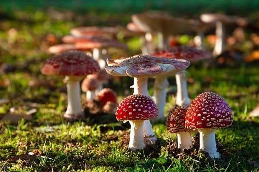 月亮天蝎座男生的性格特点及爱情观