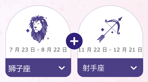 狮子座和射手座结婚后会幸福吗？