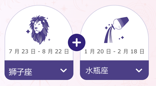 狮子座和水瓶座结婚后会幸福吗？