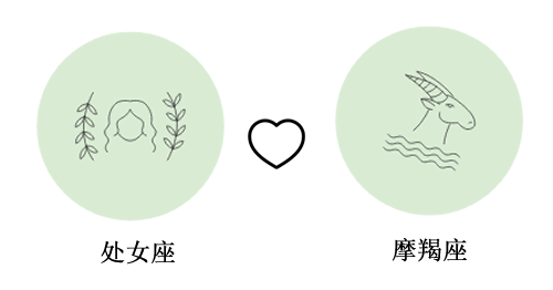处女座和摩羯座谈恋爱合适吗?(配对指数：80%)