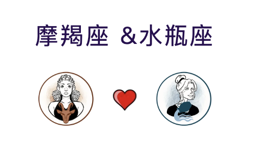 摩羯座与水瓶座适合结婚吗？(婚配指数:65%)
