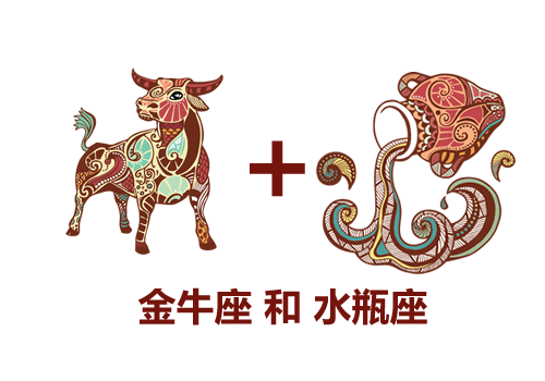 金牛座和水瓶座工作搭档合不合？