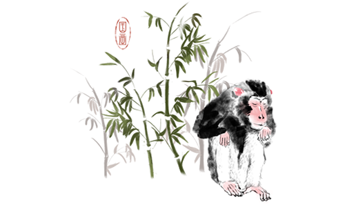 属猴人2023年运程