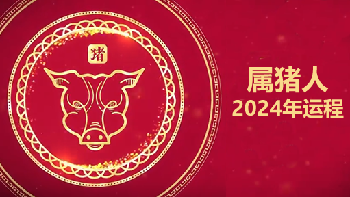 白鹤鸣2024年属猪人运势